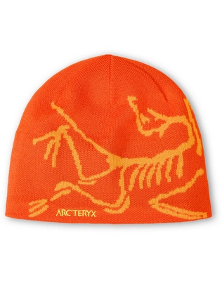Mütze Arc'teryx Bird Head Toque Unisex Solaris Edziza