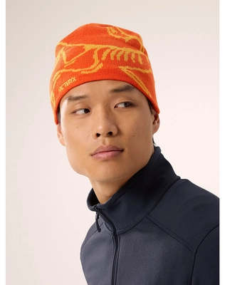 F24-X000006756-Bird-Head-Toque-Solaris-Edziza-Front-View