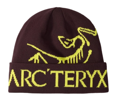 Beanie Arc'teryx Unisex Bird Word Toque Phantasm Euphoria