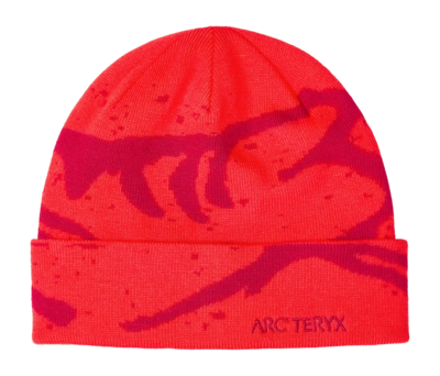 Muts Arc'teryx Unisex Grotto Toque Dynasty Dk Dynsty