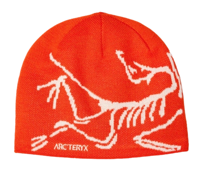 Bonnet Arc'teryx Unisexe Bird Head Toque Dynasty Arc Silk