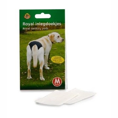 Periodiek Inlegdoekje Beeztees Papier XL