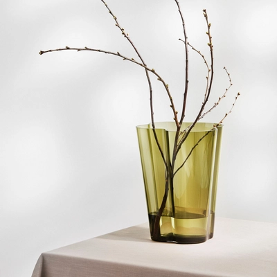 3---1051197_iittalaemea_03_iittala-aalto-vase-270mm-moss-green