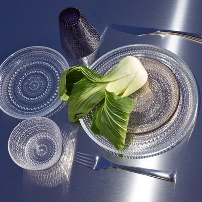5---1070201_iittalaemea_04_iittala_kastehelmi-tumbler-30cl-calluna-2-pcs