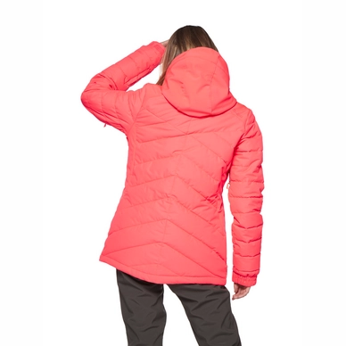 6610592_736_model_back-half_01