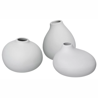 Vaas Blomus Nona Micro Chip (set van 3)