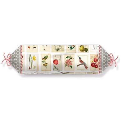 Sierkussen Pip Studio Botanical Paper White Katoen (22 x 70 cm)