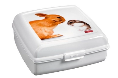 Bewaarbox Curver Multi Snap Knaagdier Vierkant