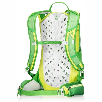 Rugzak Gregory Miwok 12 Grass Green