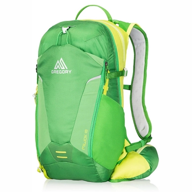 Backpack Gregory Miwok 18 Grass Green