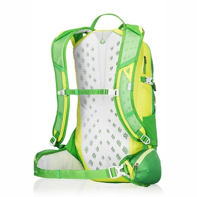 Rugzak Gregory Miwok 18 Grass Green