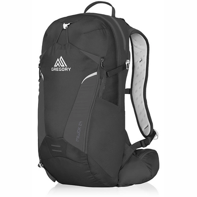 Backpack Gregory Miwok 24 Storm Bla