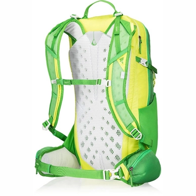 Rugzak Gregory Miwok 24 Grass Green