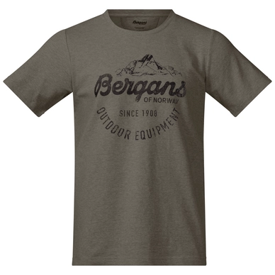 T-Shirt Bergans Classic Grün Herren