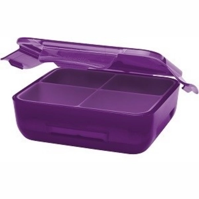 Lunchbox Aladdin Kids Double Walled Berry