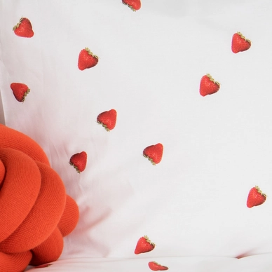 7---strawberries_rgb-3068-2