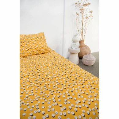 7---Daisy_2persoons_sunset_yellow_rgb-3577