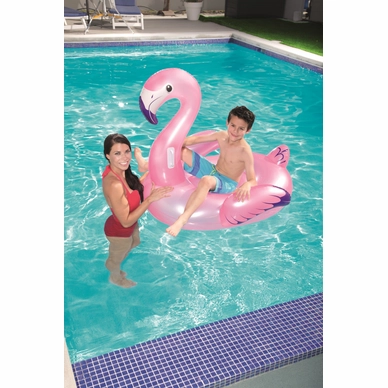 7035066530_17