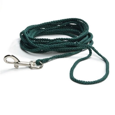 Riem Beeztees Nylon Zoeklijn Groen