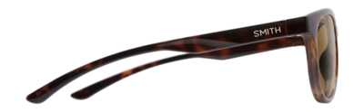3---cpPolarizedBrown_02-_no-bg