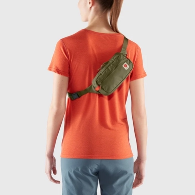 high_coast_hip_pack_23223-620_d_model_fjr