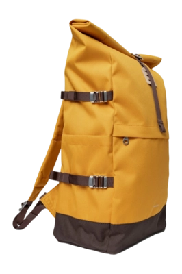 yellow2-_no-bg