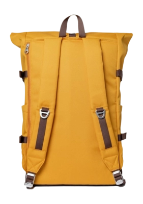 yellow3-_no-bg
