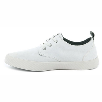 Palladium Pallaphoenix Oxford Canvas Star White