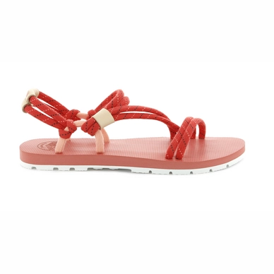 Palladium Women Stella St Tropez Dubarry