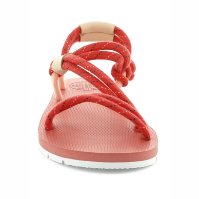 Palladium Women Stella St Tropez Dubarry