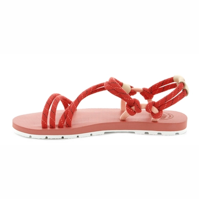 Palladium Women Stella St Tropez Dubarry