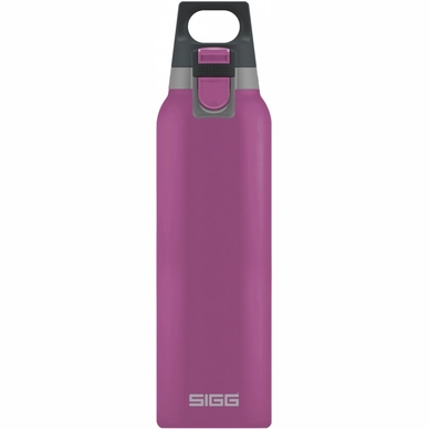 Water Bottle Sigg Hot & Cold One 0.5L Berry