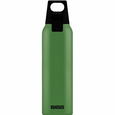 Water Bottle Sigg Hot & Cold One 0.5L Leaf Green