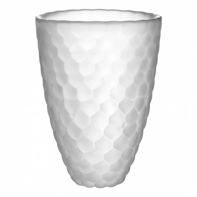 Vaas Orrefors Raspberry Mat 16 cm
