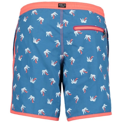 Swimshort O'Neill Frame 17' Blue