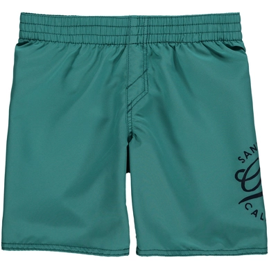 Swimshort O'Neill Surf Cruz Green-Blue Slate