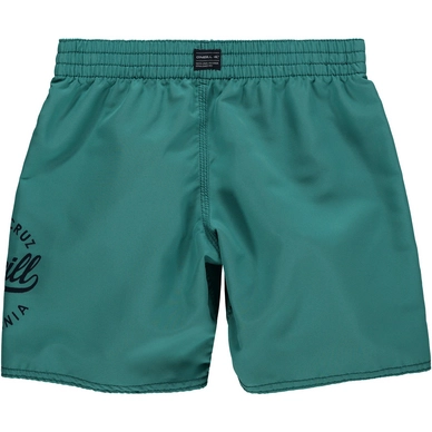 Swimshort O'Neill Surf Cruz Green-Blue Slate