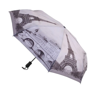 Paraplu Blooming Brollies Paris Black White