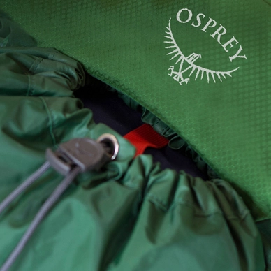 Backpack Osprey Kestrel 38 Dragon Red (M/L)