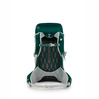 Osprey tempest 30 chloroblast green shop