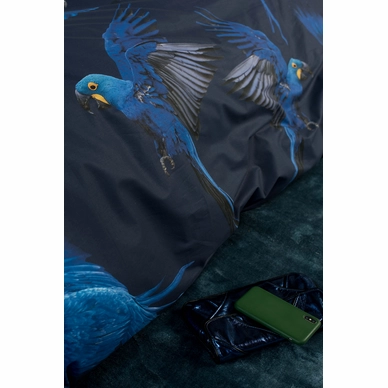 8---Blue_Parrot_2persoons_rgb-4065