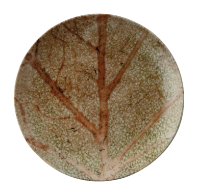 Ontbijtbord Arthur Krupp Porcelain Nature Essence A 20 cm