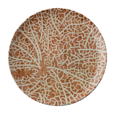 Assiette Plate Arthur Krupp Porcelaine Nature Essence C 27,5 cm