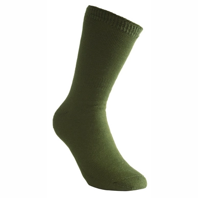 Sokken Woolpower Socks 200 Green
