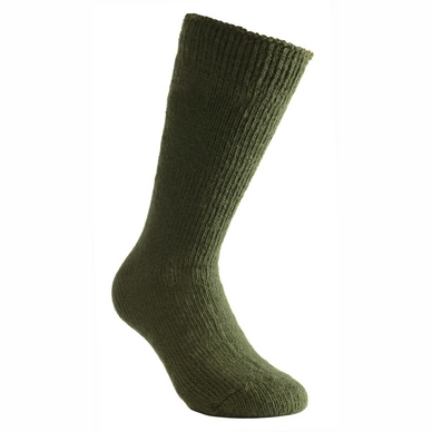 Sokken Woolpower Socks 800 Green
