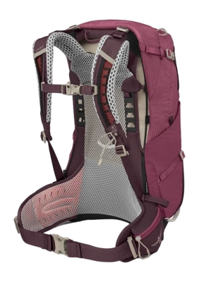 4---_0013_s24_sirrus24_elderberrypurplechirutan_10005784_4_web-_no-bg