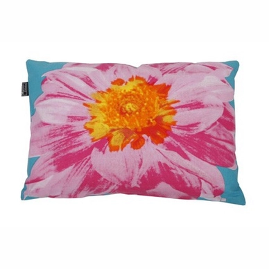 Rugkussen In The Mood Solitair Aqua/Fuchsia