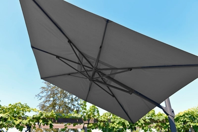 2---2018 M&L parasol Vince 3x3