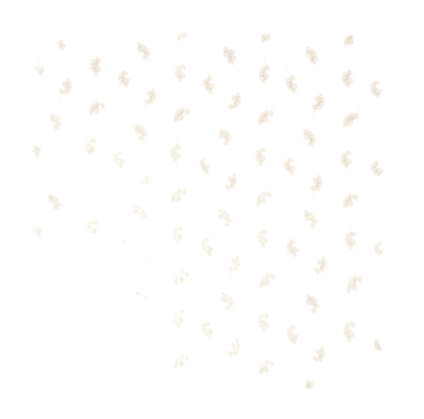 1200x1169-_no-bg