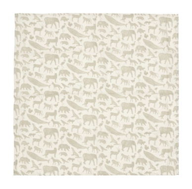1200x1181-_no-bg